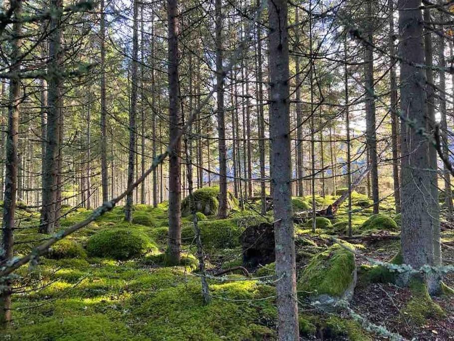 Gaeststuga 100M Fran Sjoen Vislanda Bagian luar foto